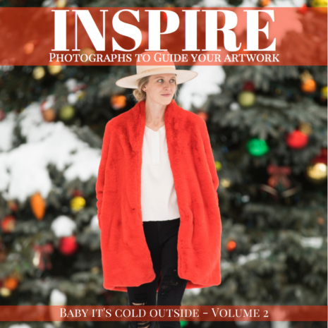 Inspire2ProductImage Inspire2ProductImage